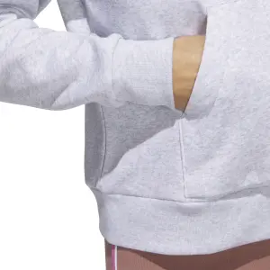 Women's hooded sweatshirt adidas Essentials Big Logo Graphic image-4