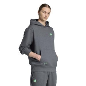 Mercedes AMG Kapuzenpullover Petronas Formula One Team image-4