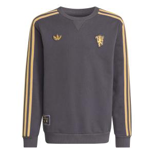 Manchester United kids' sweatshirt Icon 2025/26 image-0