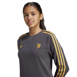 Manchester United kids' sweatshirt Icon 2025/26 image-6
