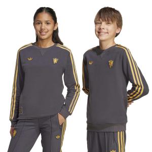 Manchester United kids' sweatshirt Icon 2025/26 image-2