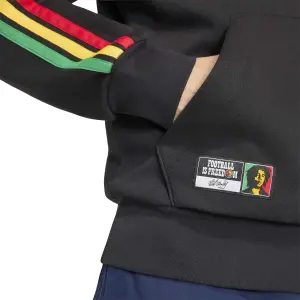 Jamaika Kapuzenpullover DNA Fleece image-5