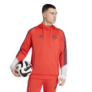 Bayern München Kapuzenpullover 2025/26 image-1