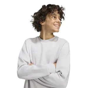 Sweatshirt child adidas Entrada 26 image-6