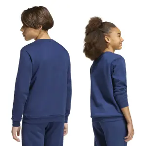 Sweatshirt child adidas Entrada 26 image-5