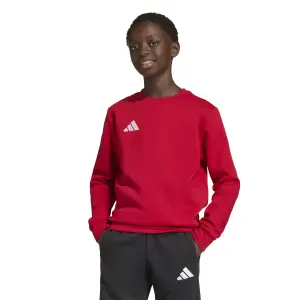 Sweatshirt child adidas Entrada 26 image-1