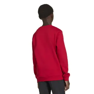Sweatshirt child adidas Entrada 26 image-4