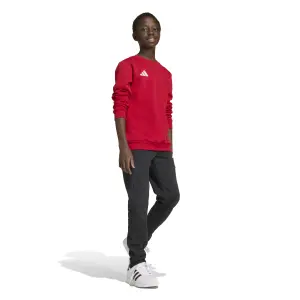 Sweatshirt child adidas Entrada 26 image-2