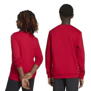 Sweatshirt child adidas Entrada 26 image-5