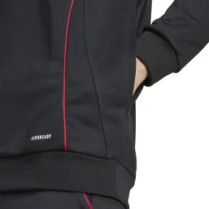 Sweatshirt com capuz Ajax Amsterdam Tiro 24 image-5