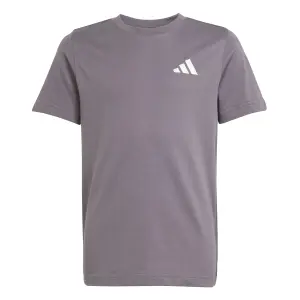 Mercedes AMG Graphic T-shirt for kids Petronas Formula One Team Premium image-1