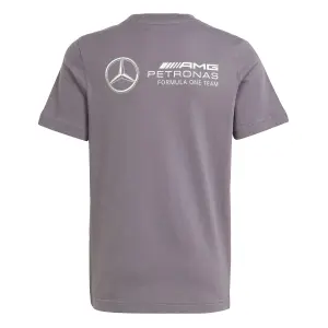 Mercedes AMG Graphic T-shirt for kids Petronas Formula One Team Premium image-2