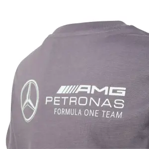 Mercedes AMG Graphic T-shirt for kids Petronas Formula One Team Premium image-5