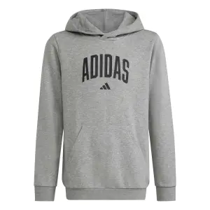 Sudadera con capucha infantil adidas Codes Collegiate Graphic image-0
