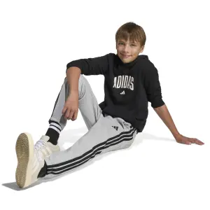 Sudadera con capucha infantil adidas Codes Collegiate Graphic image-4