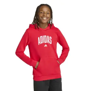 Sudadera con capucha infantil adidas Codes Collegiate Graphic image-1