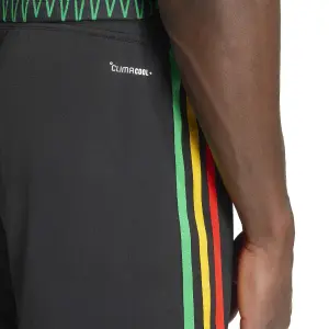 Authentic Jamaica Shorts 26 image-6