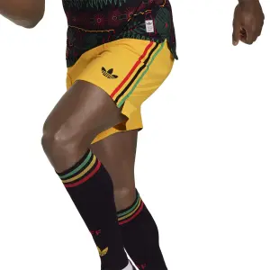 Authentische Jamaika Shorts 26 image-4