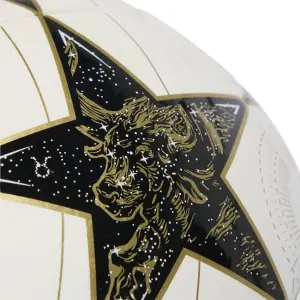 Ballon Real Madrid UEFA Champions image-3