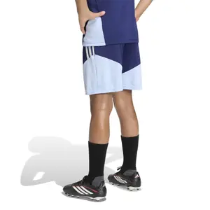 Ajax Amsterdam Kids Shorts Tiro 26 image-6