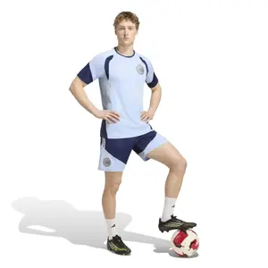 Ajax Amsterdam training jersey Tiro 26 image-2