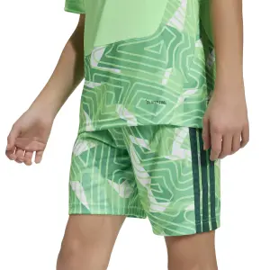 Children's goalie jersey adidas Tiro 26 Competition image-6