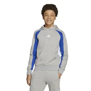 Sudadera con capucha infantil adidas Seasonal Essentials image-1