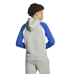 Sudadera con capucha infantil adidas Seasonal Essentials image-2