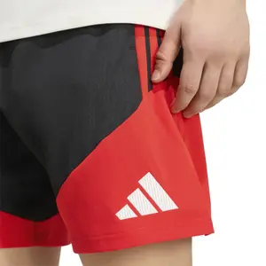 Benfica Lisbon training shorts Tiro 2026/27 image-6