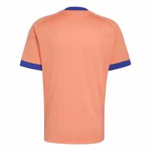 Camisa de Guarda Redes Exterior Alemanha Coupe du Monde 2026 image-3