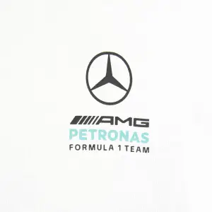 Mercedes AMG baby set Petronas Formula One Team DNA image-2