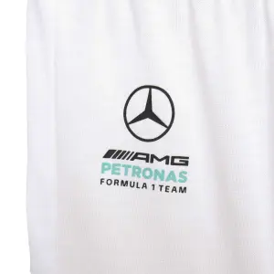 Mercedes AMG baby set Petronas Formula One Team DNA image-3