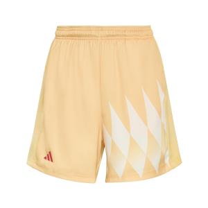 Women's shorts adidas satin House Of Tiro X Common