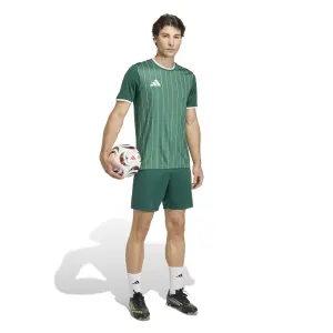 Camiseta adidas Entrada26 Graphic image-2
