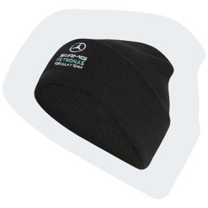 Mercedes AMG bonnet Petronas Formula One Team DNA