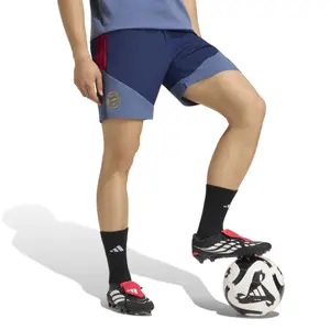Kort Bayern München Downtime 2026/27 image-1