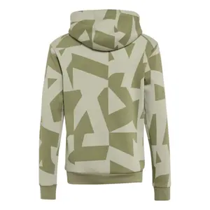 Sweater met capuchon en kinderlogo adidas Terrex image-1