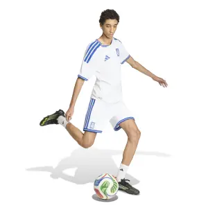 Maillot Domicile Authentique Grèce Coupe du Monde 2026 image-5