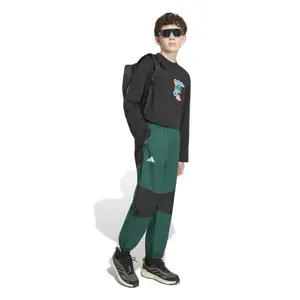 Spodnie trekkingowe 2 warstwowe dziecko adidas Terrex image-2