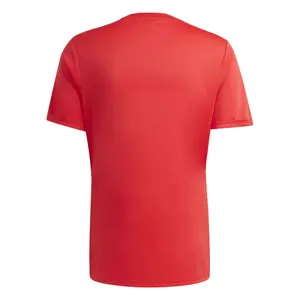 Spain Jersey FIFA World Cup 2026 image-3