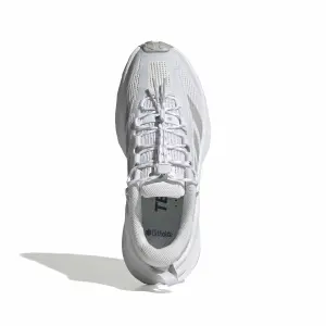 Chaussures de randonnée femme adidas Terrex Free Hiker SL image-2