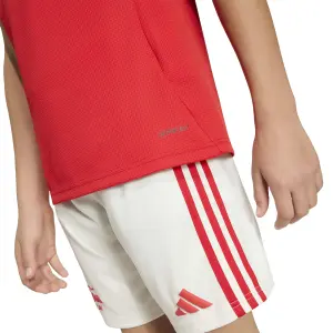 Koszulka dziecięca Hambourg SV 2025/26 image-6