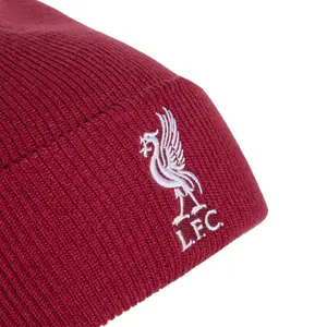 Liverpool FC Beanie image-2