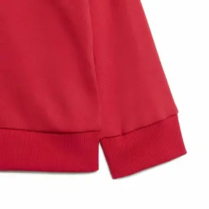 Conjunto de pantalones de chándal y sudadera bebé adidas Essentials image-3