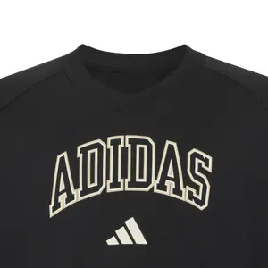 Φούτερ V κορίτσι adidas Seasonals Collegiate Typography image-4