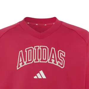 Φούτερ V κορίτσι adidas Seasonals Collegiate Typography image-2