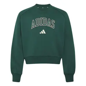 Φούτερ V κορίτσι adidas Seasonals Collegiate Typography image-0