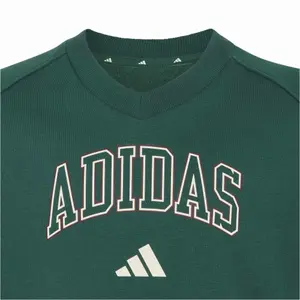 Φούτερ V κορίτσι adidas Seasonals Collegiate Typography image-2