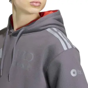 Sweatshirt à capuche Audi Formula 1 Team image-4