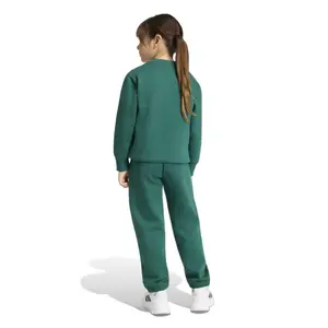 Conjunto de calças de jogging e sweatshirt criança adidas Essentials image-4
